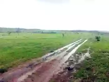 Área Rural em leilão - Denominada Fazenda Remanso, s/n - Dianópolis/TO - Banco Bradesco S/A | Z17545
