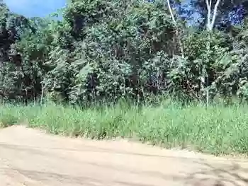 Terreno em leilão - Rua Marquês de Paranaguá, s/n - Goiânia/GO - Banco Bradesco S/A | Z17545
