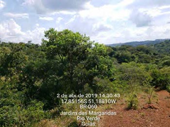 Áreas Rurais em leilão - Fazenda Coqueiros do Rio Doce, s/n - Rio Verde/GO - Banco Bradesco S/A | Z18005LOTE020
