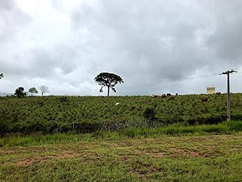 Área Rural em leilão - Zona Rural, s/n - Extrema/MG - Banco Bradesco S/A | Z18561LOTE013