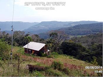 Área Rural em leilão - Travessão Núcleo Loren, s/n - Caxias do Sul/RS - Banco Bradesco S/A | Z18700LOTE001