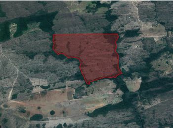 Área Rural em leilão - Área de Terras Rural Denominada Lote Pindaival, s/n - Nova Brasilândia/MT - J&F Investimentos S/A | Z21305LOTE005