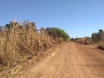 Área Rural em leilão - Rodovia Estadual TO-239, s/n - Goianorte/TO - Banco Bradesco S/A | Z21789LOTE031