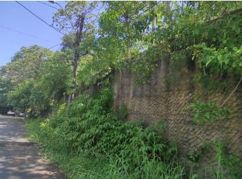 Terreno em leilão - Passagem Pau Darco, s/nº - Ananindeua/PA - Banco Bradesco S/A | Z23534