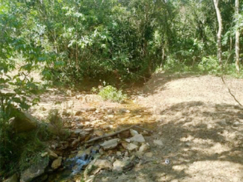 Área Rural em leilão - Fazenda Mato das Antas, s/nº - Guapé/MG - Banco Bradesco S/A | Z23746LOTE006