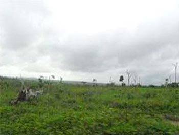 Área Rural em leilão - Fazenda Água Boa, s/nº  - Centro Novo do Maranhão/MA - Banco Bradesco S/A | Z23932LOTE009
