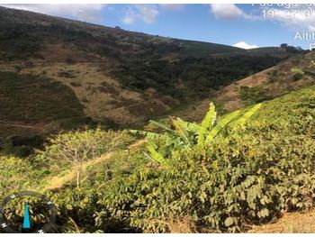 Área Rural em leilão - Estrada de Acesso À Rodovia Br-116, s/nº  - Inhapim/MG - Banco Bradesco S/A | Z25948