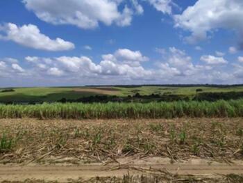 Fazenda em leilão - Fazenda São José, 354 - Mamanguape/PB - Banco Santander Brasil S/A | Z26519