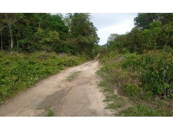 Área Rural em leilão - Rodovia Br 174, s/nº  - Manaus/AM - Banco Bradesco S/A | Z26637