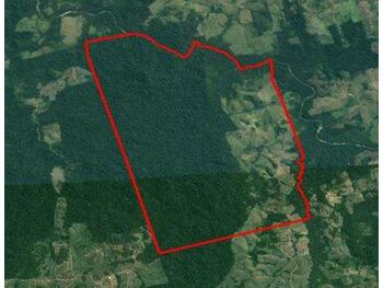 Área Rural em leilão - Rodovia Br-230, s/nº  - Novo Repartimento/PA - Banco Bradesco S/A | Z26999