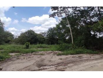 Terreno em leilão - Rua N, s/nº  - Horizonte/CE - Banco Bradesco S/A | Z27288