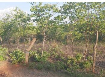 Terreno em leilão - Rua dos Popou, s/nº  - Juazeiro do Norte/CE - Banco Bradesco S/A | Z27288