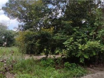 Terreno em leilão - Rua N, s/nº  - Horizonte/CE - Banco Bradesco S/A | Z27548