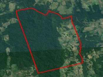 Área Rural em leilão - Estrada de Acesso À Rodovia Br-230, s/nº  - Novo Repartimento/PA - Banco Bradesco S/A | Z27432