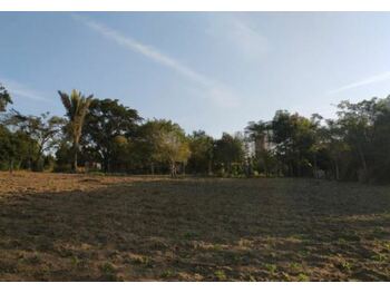 Terreno em leilão - Sítio Sagrada Família, s/nº  - Ibirapuã/BA - Banco Bradesco S/A | Z27673