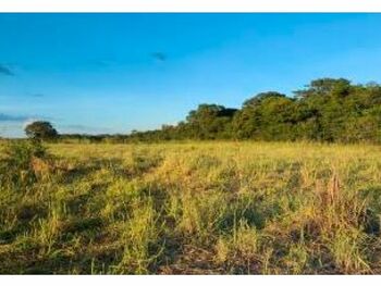 Área Rural em leilão - Fazenda Conquista, s/nº  - Alvorada/TO - Banco Bradesco S/A | Z27919