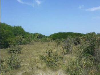 Terreno em leilão - Rua Leste Oest, s/nº - Fortim/CE - Rodobens Administradora de Consórcios Ltda | Z28461