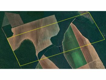 Área Rural em leilão - Fazenda Rambo, s/nº - São José do Rio Claro/MT - BANCO RABOBANK INTERNATIONAL BRASIL S.A | Z28768
