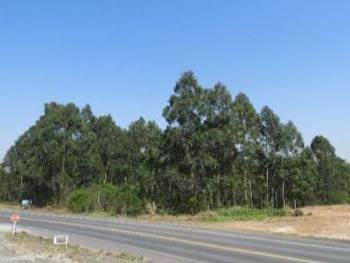 Terrenos em leilão - Rua Bernardo Topanotti Pizzetti, s/nº  - Criciúma/SC - Banco Bradesco S/A | Z29079