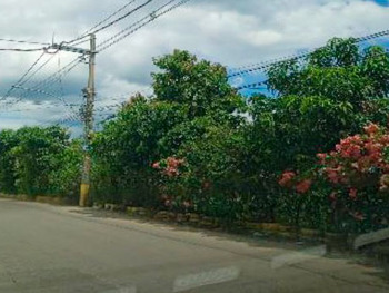 Terreno em leilão - Estrada Vítor Dumas, s/nº  - Rio de Janeiro/RJ - Banco Bradesco S/A | Z30015