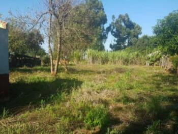 Terreno em leilão - Avenida Presidente Costa e Silva, 738 - Toledo/PR - Embracon | Z30137