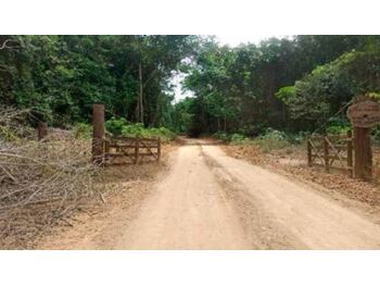 Área Rural e Terrenos em leilão - Fazenda Peloso Aguiar, s/nº - Dom Eliseu/PA - SICREDI SUDOESTE MT PA | Z31190LOTE001