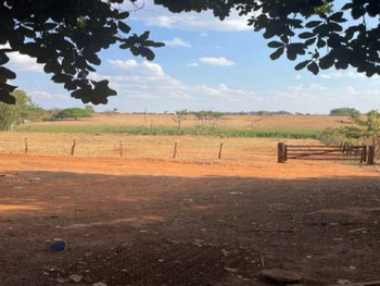 Área Rural e Terrenos em leilão - Gleba Massapé, s/nº - São José do Rio Claro/MT - Grendene S.A. | Z31654LOTE001