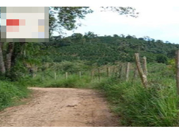 Área Rural em leilão - Estrada de Acesso À Rua Alderico Pinto de Aguiar, s/nº  - Juruaia/MG - Banco Bradesco S/A | Z31482LOTE029