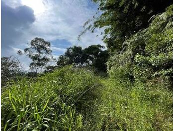 Terrenos e Lotes em leilão - Rua Rui Silva, s/nº  - Blumenau/SC - Banco Bradesco S/A | Z31728LOTE020