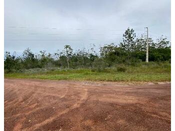 Área Rural e Terrenos em leilão - Rodoavia Ba-099, Km 90 e Km 91, s/n - Entre Rios/BA - CCB - China Construction Bank | Z31697LOTE003