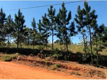 Terrenos e Lotes em leilão - Avenida Rio Grande do Sul, s/nº - Pardinho/SP - Tribunal de Justiça do Estado de São Paulo | Z31933LOTE002