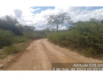 Área Rural e Terrenos em leilão - Fazenda Caraíbas, s/nº - Formosa do Rio Preto/BA - Bunge | Z31990LOTE001