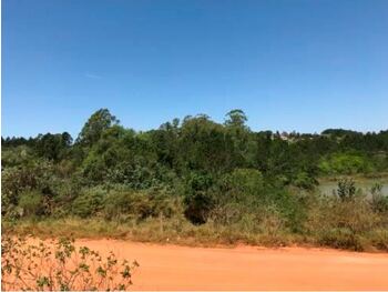 Terrenos e Lotes em leilão - Avenida Minas Gerais, s/nº - Pardinho/SP - Tribunal de Justiça do Estado de São Paulo | Z31933LOTE001