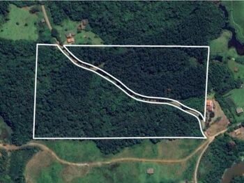 Área Rural em leilão - Secção Rio Manin, s/nº - Treviso/SC - Banco Safra | Z31929LOTE008