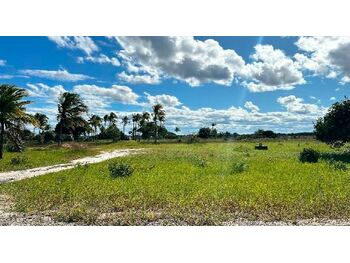 Área Rural em leilão - Rodovia Ba-001, s/nº - Belmonte/BA - Bank of China | Z32320LOTE006