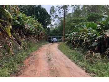 Área Rural e Terrenos em leilão - Sítio Boa Vista , s/nº - Ibiúna/SP - Tribunal de Justiça do Estado de São Paulo | Z32689LOTE001