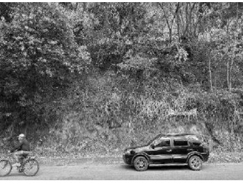 Terrenos e Lotes em leilão - Rua Antônio Marquês, s/n - Carangola/MG - Tribunal de Justiça do Estado de São Paulo | Z32903