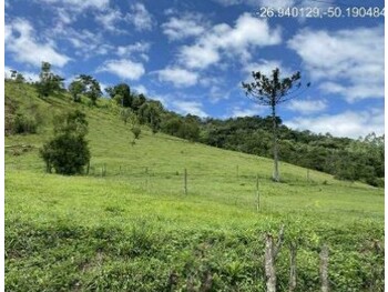 Rurais e Fazendas em leilão - Estrada Vicinal da Rua 29 de Dezembro, s/nº  - Rio do Campo/SC - Banco Bradesco S/A | Z32854