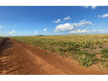 Área Rural em leilão - Gleba Alto Ronuro I , s/n - Nova Ubiratã/MT - Tribunal de Justiça do Estado de São Paulo | Z32934