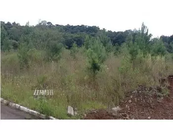 Terrenos e lotes em leilão - rua júlio carlos feldens, s/n - nova petrópolis/rs - itaú unibanco s/a | z33130