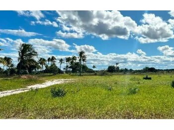 Terrenos e Lotes em leilão - Rodovia Ba-001, S/n - Belmonte/BA - Bank of China | Z33377