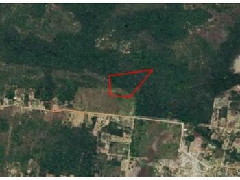 Área Rural e Terrenos em leilão - Rodoavia Ba-099, Km 90 e Km 91, s/n - Entre Rios/BA - Bank of China | Z33488