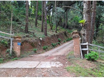 Terrenos e Lotes em leilão - Alameda das Pérolas, 600 - Campos do Jordão/SP - Tribunal de Justiça do Estado de São Paulo | Z33296