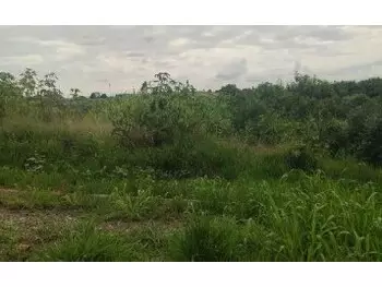 Terrenos e lotes em leilão - rua antônio santoni, s/n - itapetininga/sp - rodobens administradora de consórcios ltda | z33577