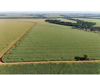 Área Rural e Terrenos em leilão - Rodovia Go 174 Km 32 A Direita, S/n - Rio Verde/GO - Banco Cooperativo Sicoob S.A. | Z33715