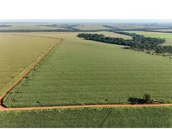 Área rural e terrenos em leilão - rodovia go 174 km 32 a direita, s/n - rio verde/go - banco cooperativo sicoob s.a. | z33715