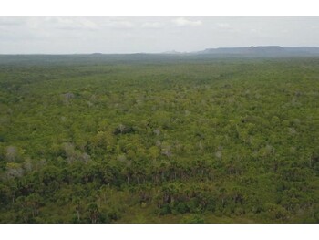 Terrenos e Lotes em leilão - Fazenda Reunidas Nova Aliança I, s/n - Lajeado Novo/MA - Banco Cooperativo Sicoob S.A. | Z33550
