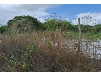 Terreno em leilão - Rua E, s/n - Pacajus/CE - Rodobens Administradora de Consórcios Ltda | Z33584