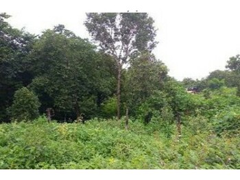 Terrenos e Lotes em leilão - Rua João Emílio Borges, S/n - Paraíso do Tocantins/TO - Itaú Unibanco S/A  | Z33778