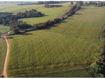 Área Rural e Terrenos em leilão - Sítio Scheffer, s/n - Campo Mourão/PR - SICREDI SUDOESTE MT PA | Z33797